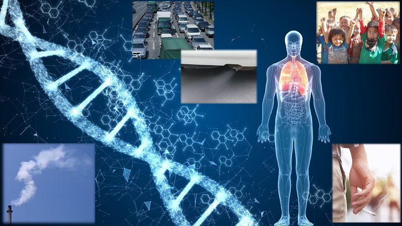 Research - 衛生化学分野